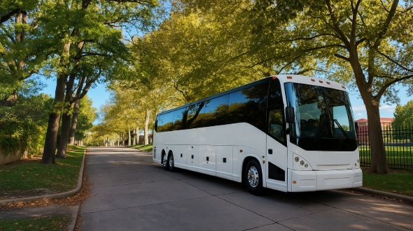 san ramon bachelor and bachelorette party bus rentals